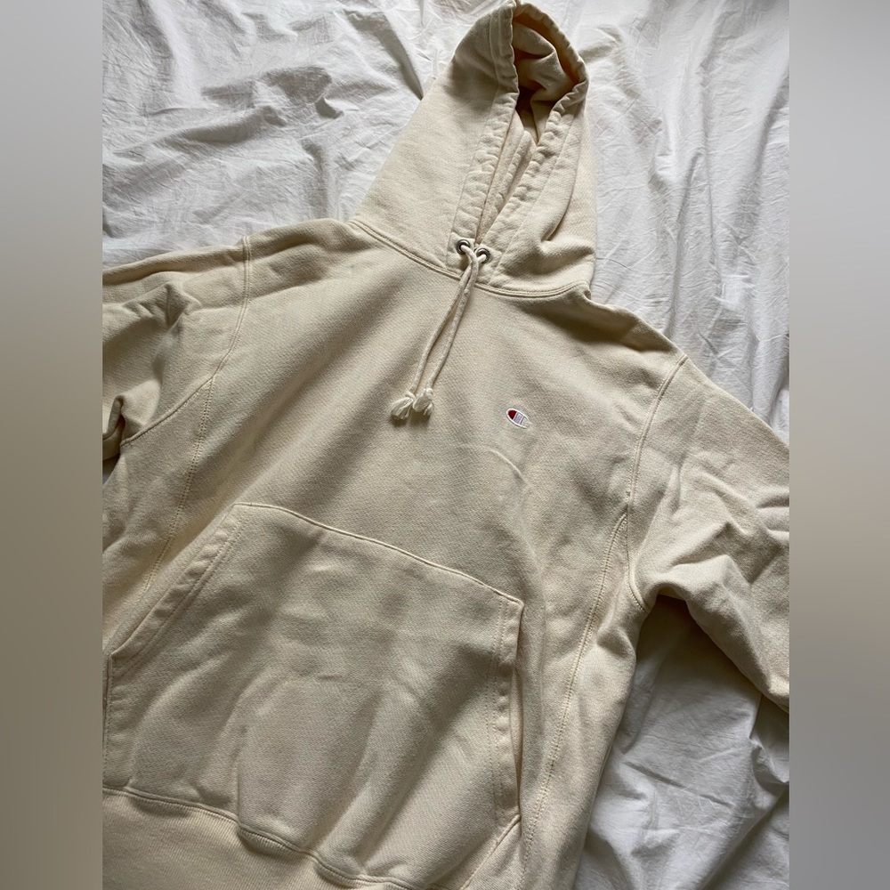 Urban Outfitters Champion sweater women’s